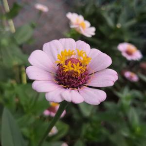 av直播被路人c翻了
